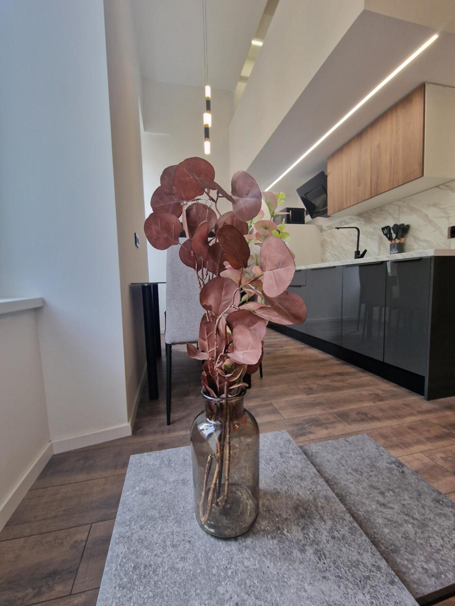 Veneziana Apartments Rijeka Eksteriør bilde